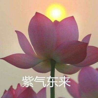 启牛手游app下载